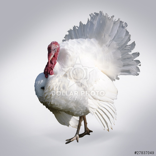 תחשיב הוצאות יצור הודנים לחודש אוקטובר 2018