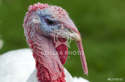 תחשיב הוצאות יצור הודנים לחודש אפריל 2018