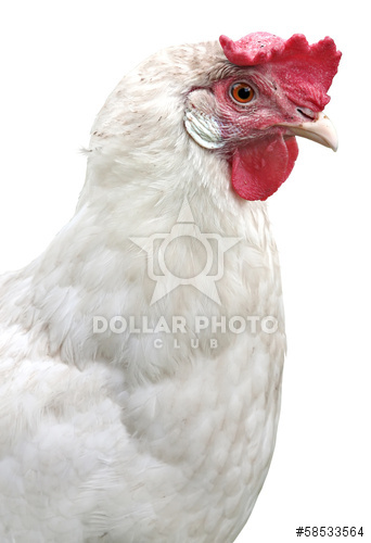 תחשיב הוצאות יצור פרגית קלה לחודש ספטמבר 2017