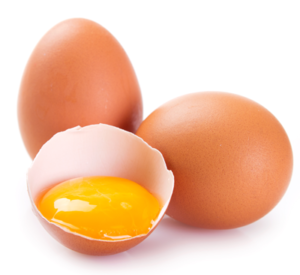 תחשיב הוצאות יצור אג"ח/ביצת מאכל לחודש אוגוסט 2019