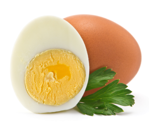 תחשיב הוצאות יצור ביצת מאכל לחודש דצמבר 2019