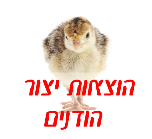 מחיר מומלץ לאפרוח הודו לחודש יולי 2015