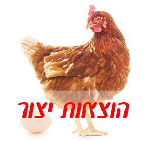 תחשיב הוצאות יצור פרגית קלה לחודש נובמבר 2019