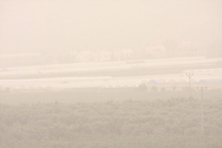 נזקי חמסין אוגוסט ספטמבר: 270 מגדלי עופות הודיעו על נזקי חום