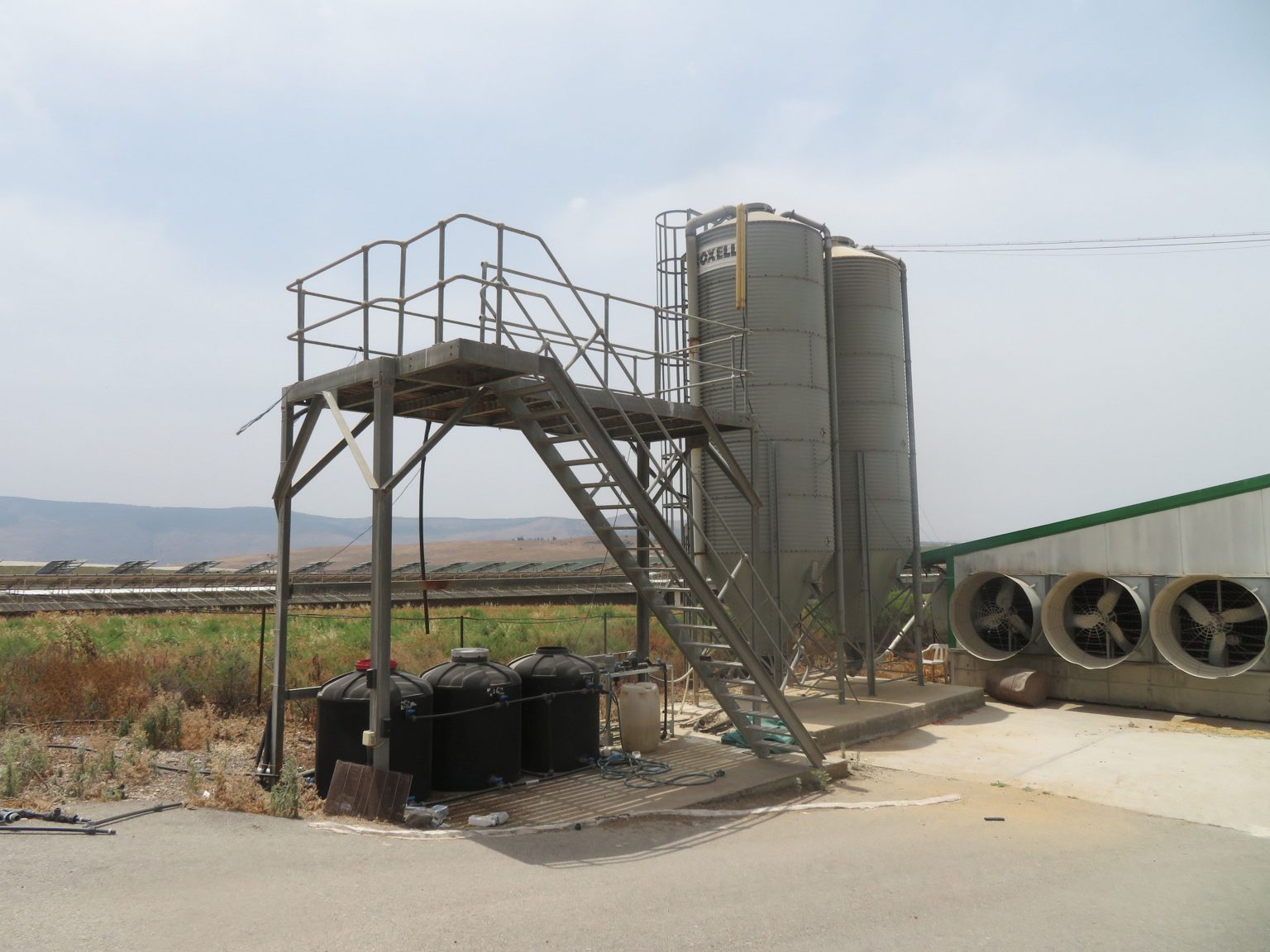 רמת צבי מעצמת לול - ארגון מגדלי עופות בישראל